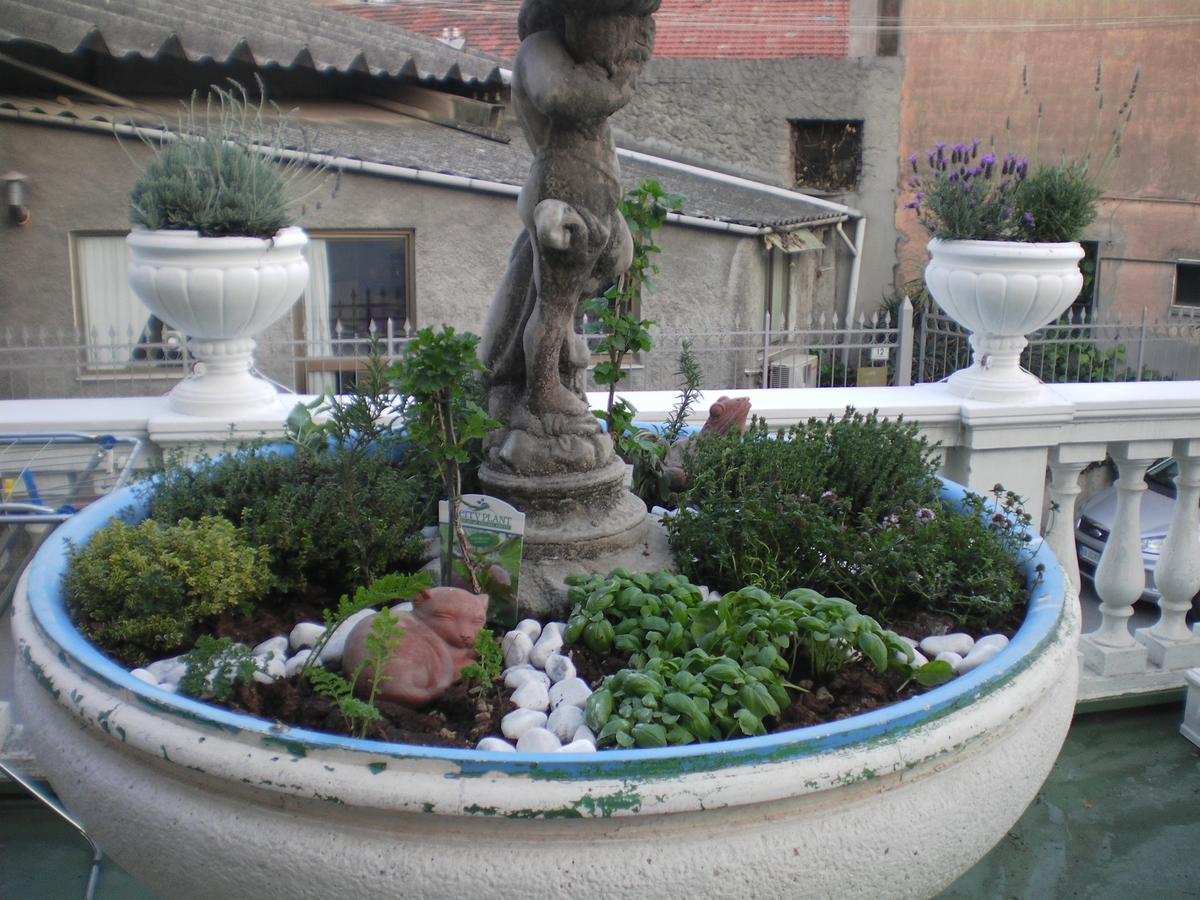 Hotel Piemontese Imperia Extérieur photo