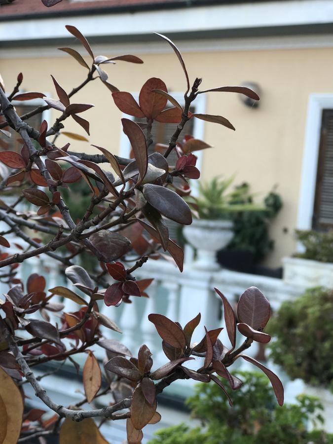 Hotel Piemontese Imperia Extérieur photo